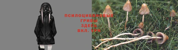 герыч Чегем