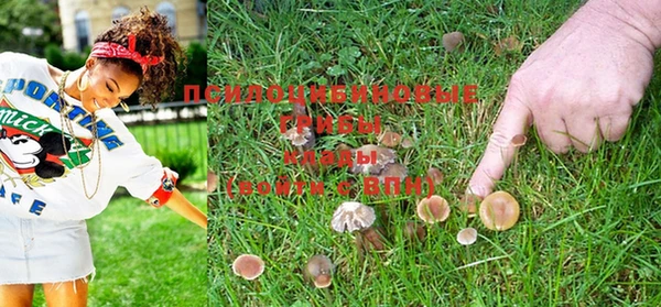 mdpv Шарыпово