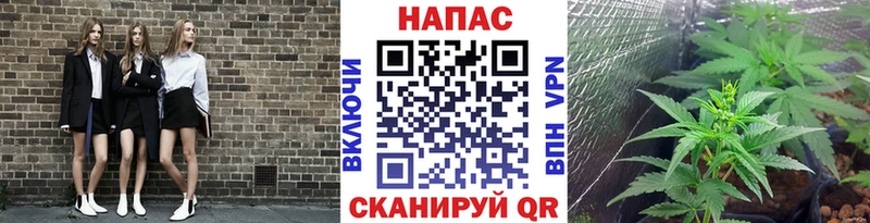 Шишки марихуана LSD WEED  Купить закладки  Сертолово 